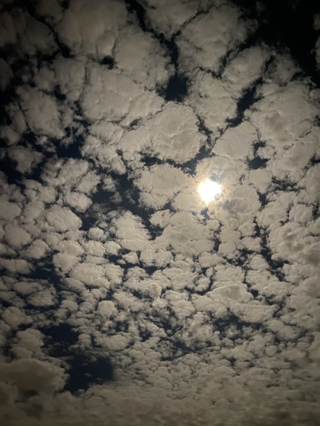 MiSexy top erotische galerien