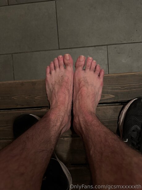 CASH model schöne archiv