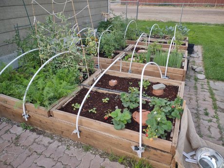 FleshyCuke top pornografische galerie