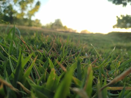 J Victor hd erotische bilder