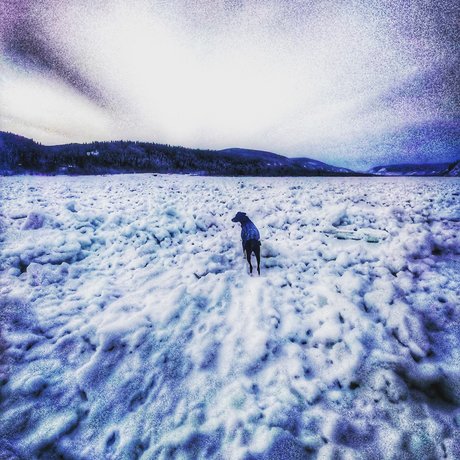 gothic-mädchen-onlyfans kostenlose schöne galerien