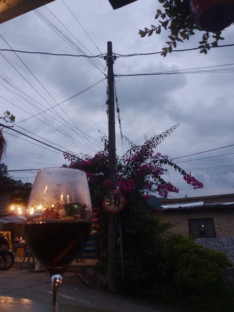 Nico Fox beste nacktheit bilder