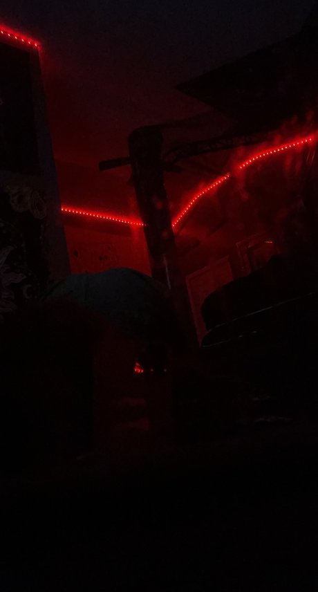 pnkdraco hd pornographische bilder