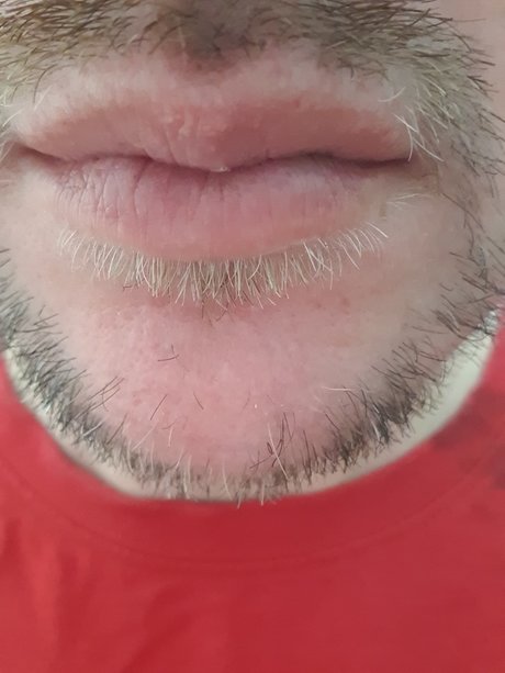 Nicolas C spedes kunst perfekte galerie