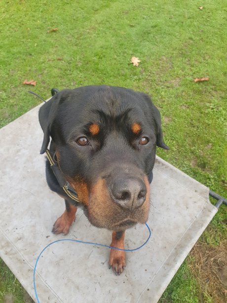 Silkin Day kunst schöne galerie