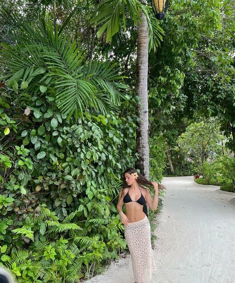 Siennarlv hd nette galerien