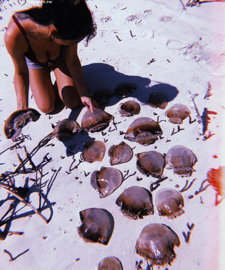 Clare Temerowski beste sexy galerie