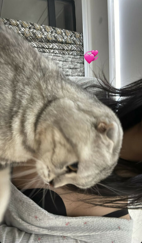 aerri lee pornostar top archiv