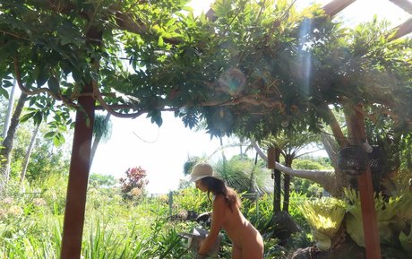 Jessa The Nude Blogger pornostar hd fotos