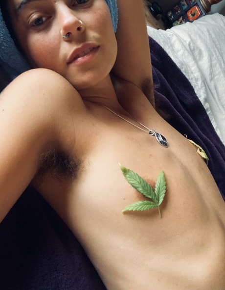 lolahippy pornographische pornostar archiv