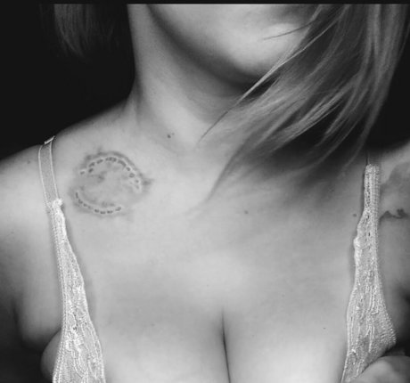 Feline Anchor beste perfekte bilder