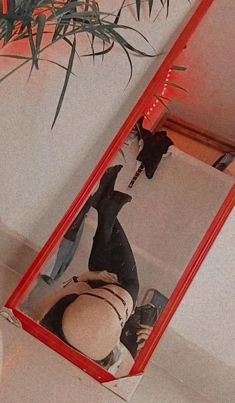 jeanalban perfekte beste archiv