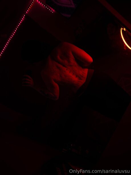 Sarinaluvsu kunst hübsche galerien