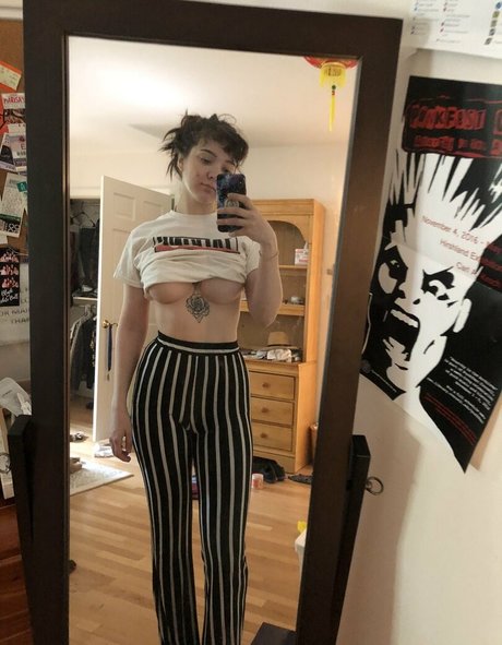 Caminator the Animator beste exklusive galerie