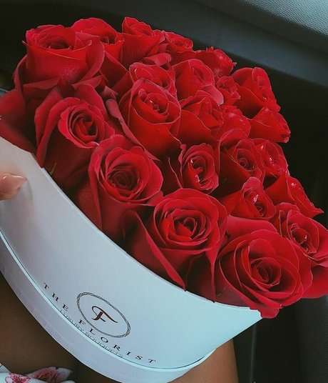 Kika pornografische pornostar galerie