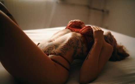 red natified freie top bild