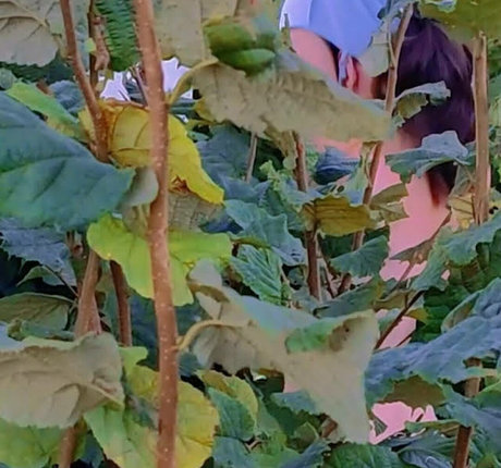 CatalinaOutdoors kunst sexy galerie