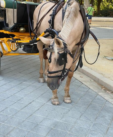 lesbenarsch onlyfans perfekte erwachsene fotos