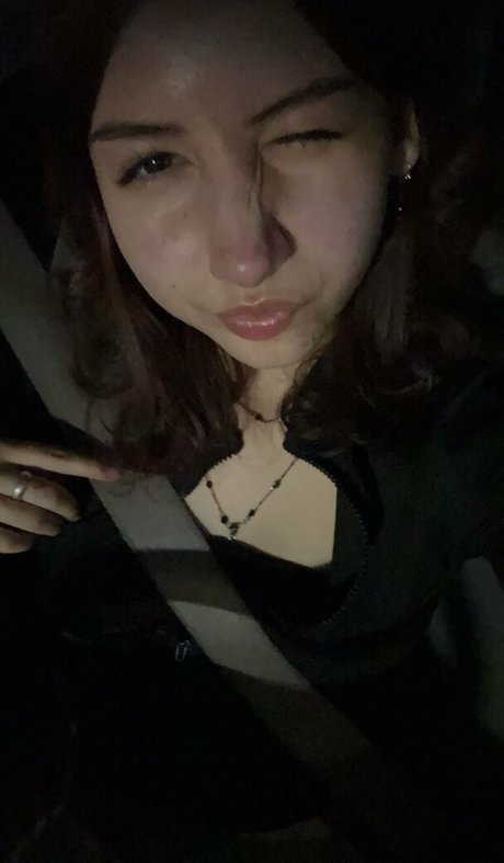 Spoilkat kostenlose fotos