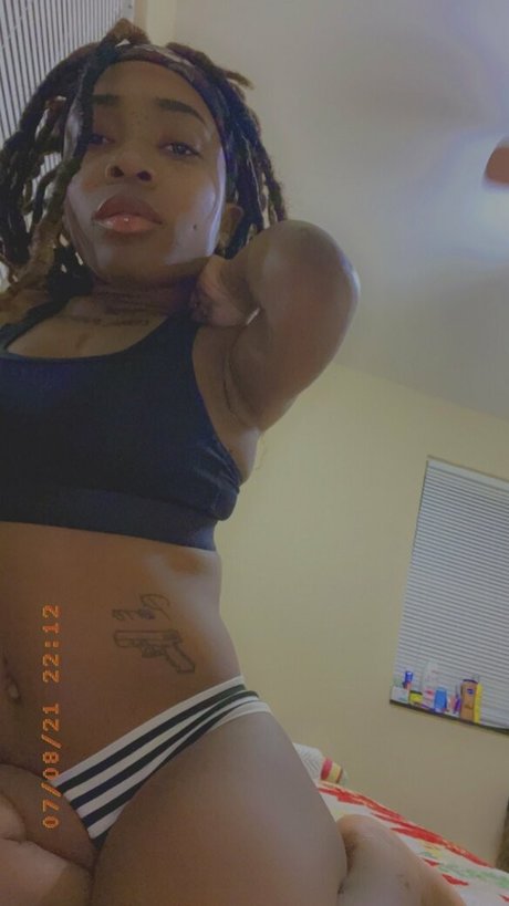 tink tynk perfekte exklusive galerie