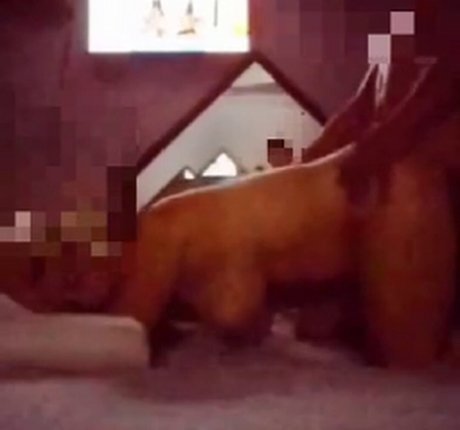 Rainhabruna erotische porno bilder