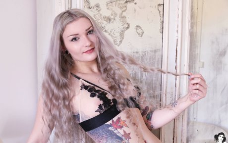 Vehera SG perfekte kostenlose archiv