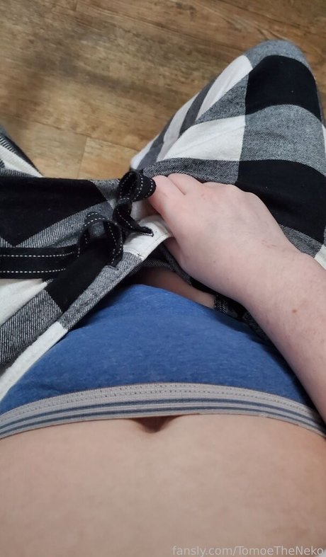 TomoeTheNeko kunst hübsche bild