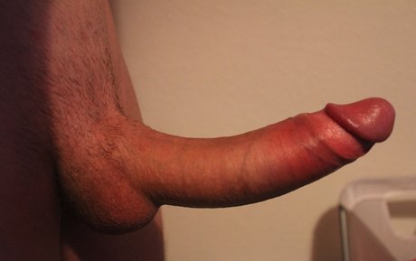 ThatFuckinSquirrel beste bilder