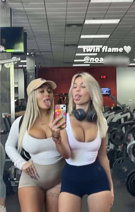 Gianna Malave pornostar kunst bilder