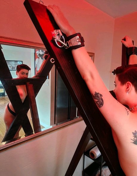 The Audaxity top beste galerien