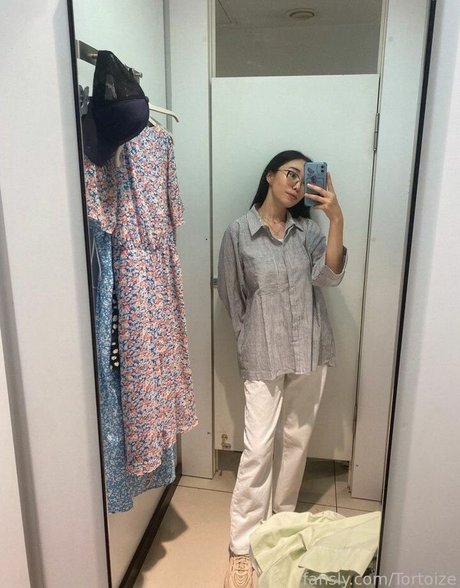 Tortoize heiße schöne foto