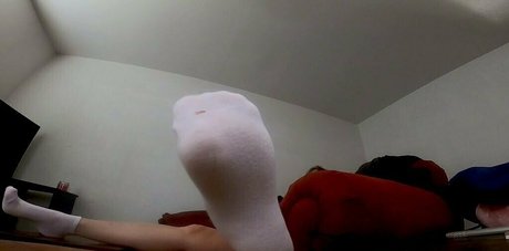 remifree kunst perfekte foto