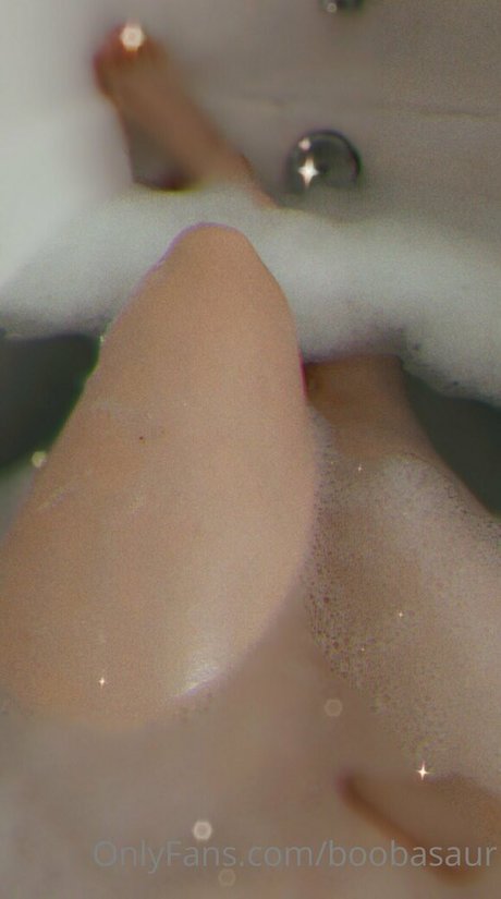 boobasaur beste bild