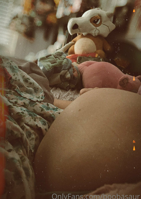 boobasaur hübsche kunst fotos