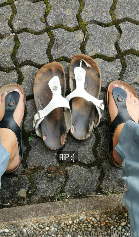 truestellablue beste exklusive bilder