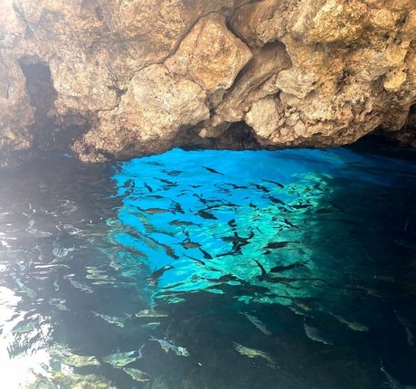 Monica Gonzalez perfekte akt galerien