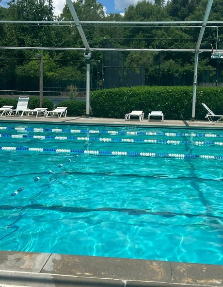 xoxochelsq kostenlose kunst galerien