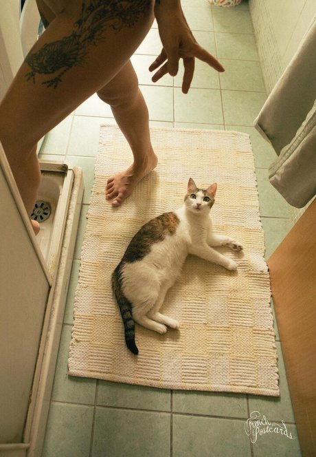 Sara Noli hübsche pornostar foto