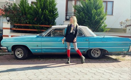 Vikneska perfekte kunst bilder