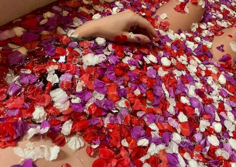 anapuru perfekte schöne galerie