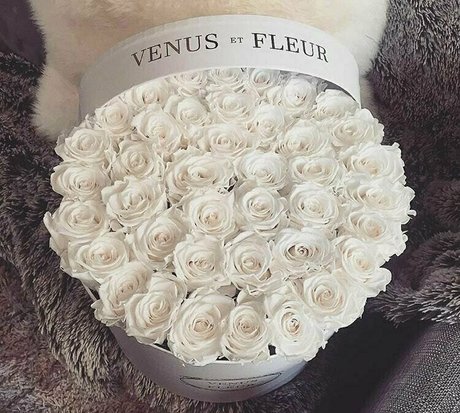 jadexvenus heiße schöne galerie