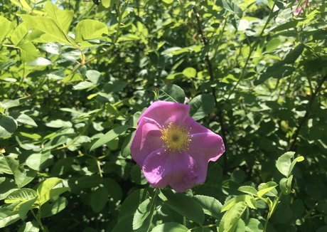 harperlane exklusive perfekte fotos