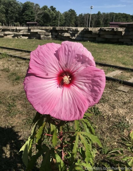 harperlane top nette galerien