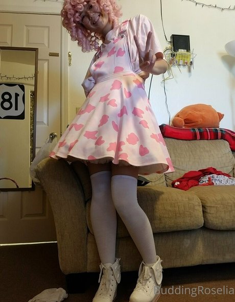 buddingroselia schauspielerin porno archiv