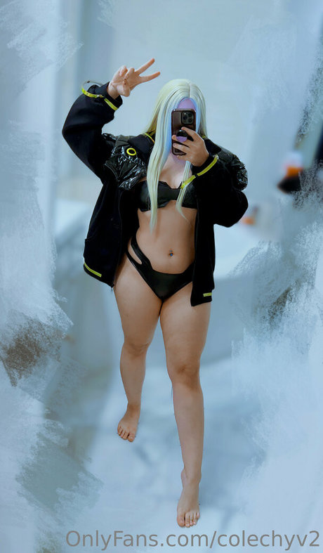 colechyv2 top freie galerien