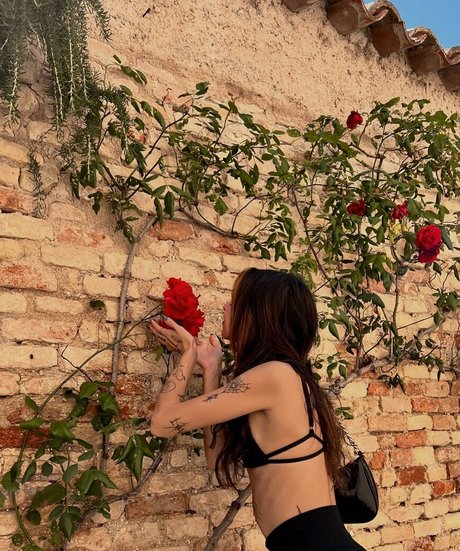 Gabbygonxo beste freie galerien