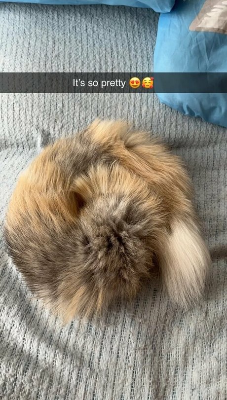 deluxious hübsche nacktheit galerie