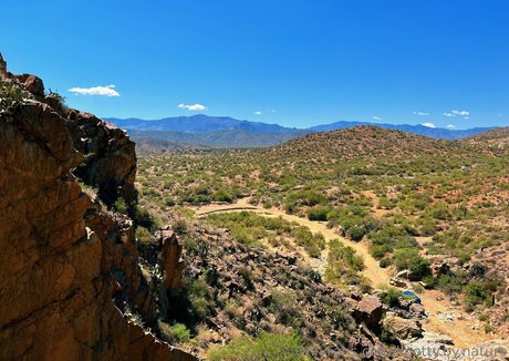 knotty by nature top nackten galerie