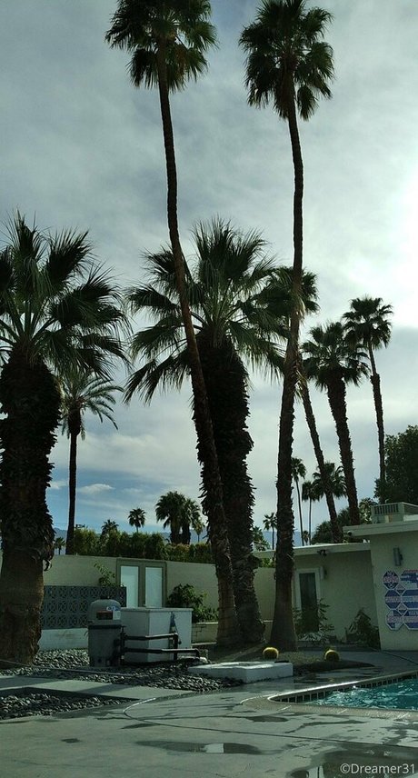 dreamer31 erwachsene nette galerien