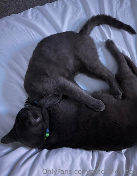 maddylovings schöne schöne bild